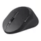 Image Mouse Dell MS900 Black