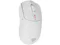 Image Mouse Genesis Zircon White