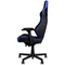 Image Scaun gaming Noblechairs Epic Black/Blue