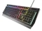 Image Клавиатура Genesis Rhod 300 US