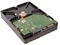 Image Жесткий диск HDD Western Digital WD1004 1TB