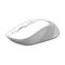 Image Mouse A4Tech FG10 White/Grey