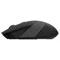 Image Mouse A4Tech FG10 Black/Grey