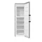 Image Морозильник Gorenje FN619EAXL6