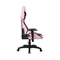 Image Scaun gaming 1STPLAYER WIN101 Black/Pink