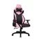 Image Scaun gaming 1STPLAYER WIN101 Black/Pink
