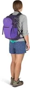 Image Рюкзак Osprey Daylite Plus 20 Dream Purple