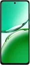 Image Telefon mobil OPPO Reno 12 FS 5G 12/512GB Black Green