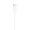 Image Căşti Apple EarPods USB-C White
