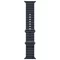 Image Умные часы Apple Watch Ultra 2 GPS+LTE 49mm MX4D3 Natural Titanium Case/Navy Ocean Band