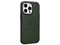 Image Чехол UAG Apple iPhone 13 Pro Civilian Green