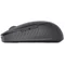 Image Mouse Dell MS7421W Graphite Black