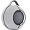 Image Портативная колонка Devialet Mania Light Grey