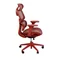 Image Fotoliu Birou DP Gomez RED