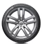 Image Шина Hankook Icept Evo-3 W-330 295/30 R19 100W TL  XL