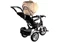 Image Трицикл LeanToys PRO500 Cream