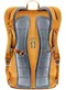 Image Rucsac Deuter Gogo amber-maple