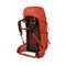 Image Рюкзак Osprey Talon Pro 40 mars orange
