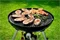 Image Решетка для гриля Cadac Carri Chef 2 BBQ Grid