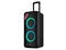 Image Портативная колонка F&D PA300, Чёрный