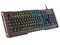 Image Клавиатура Genesis Rhod 400, RGB, US