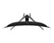 Image Monitor MSI MAG 341CQP, Black