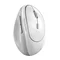 Image Mouse Wireless Genius Ergo 8350S White Grey