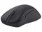 Image Mouse Asus MD102, Dark Gray