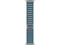 Image Apple Watch Ultra 3 GPS + LTE 49mm MEWK4 Natural Titanium Case Light Blue Alpine Loop - Small