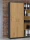 Image Шкаф TopEshop Oliv 2D, Anthracite/Artisan Oak