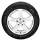 Image Шина TRISTAR SNOWPOWER UHP 275/45 R21 110V XL