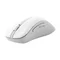 Image Mouse Asus MD102 White