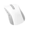 Image Mouse Asus MD102 White