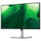 Image Monitor DELL P2425D Silver