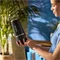 Image Blender Nutribullet NBP016B