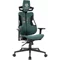 Image Стул для геймеров  MYRIA MG7423FRF, Black-Green