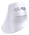 Image Mouse UGREEN MU008, White