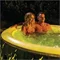 Image SPA jacuzzi gonflabil INTEX Glow Deluxe 196×71