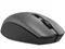 Image Mouse wireless 2E MF2030 Rechargeable WL Gray