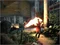 Image Joc The Last Of Us Part 2 Remastered PS5