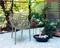Image Стул Jumi ALBERO, Grey