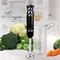 Image Blender Maestro MR-511 Black