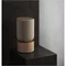 Image Boxa portabila Bang&Olufsen Beosound Balance Natural Oak