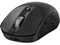 Image Mouse HP 700