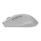 Image Mouse Wireless ASUS WT425 Silver