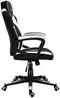 Image Игровое кресло Huzaro Force Mesh 2.5 Black/White