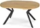 Image Стол Mebel Elite Lukas 250 Golden Oak/Black