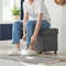 Image Puf Songmics LSF14GYZ Slate Grey