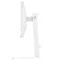 Image Monitor gaming PHILIPS Evnia 24M2N3201P White