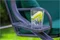 Image Скамья-качели FunFit Garden Relax Plus 181 Green